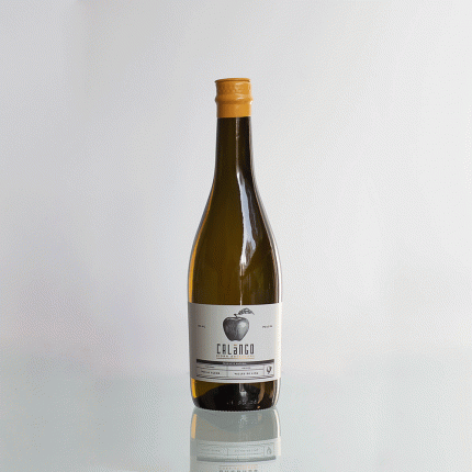 Sidra de manzana 750ml